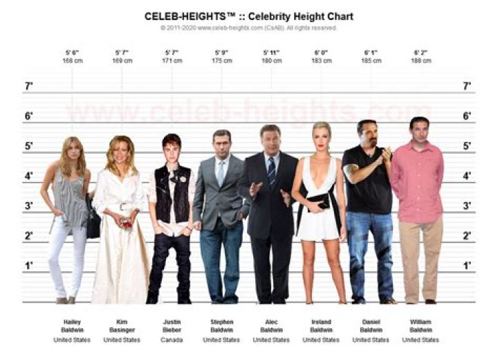 Celebrity Measurements 38-28-38: Understanding the Iconic Curves of Hollywood Stars